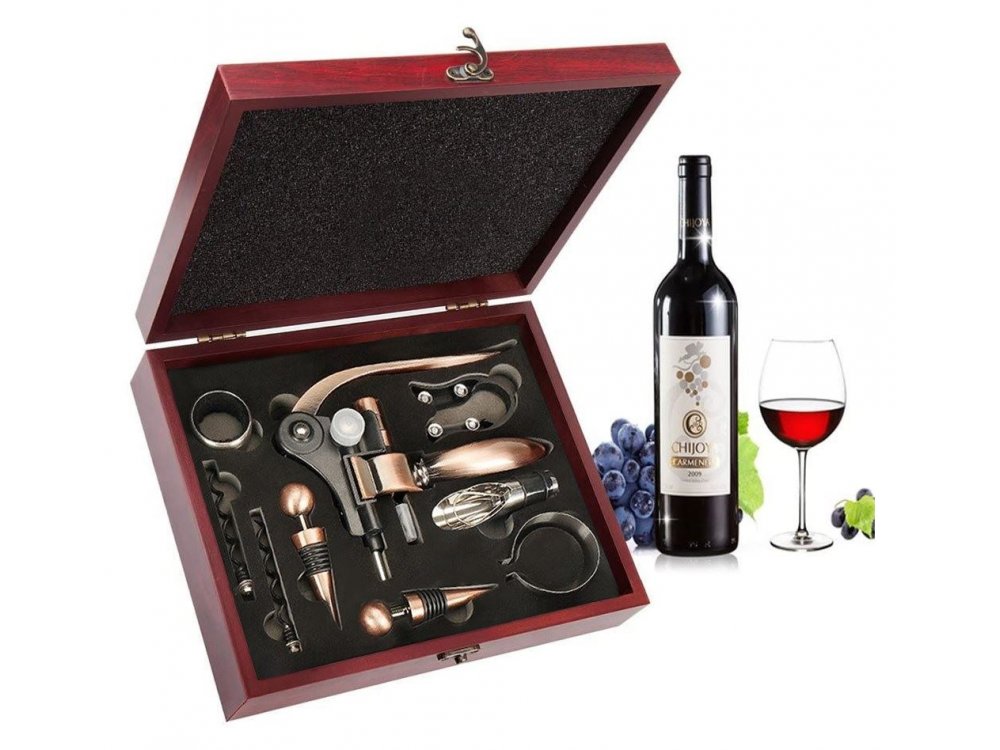 Corkscrew Wine Opener Set, Wine Accessories Set 10pcs with Suitcase, Pouch, Thermometer, Caps, Ring, Pourer & Foil Cutter