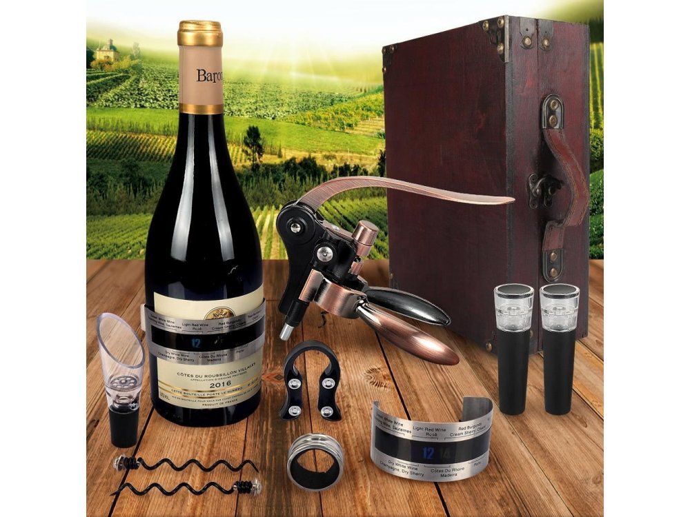 Corkscrew Wine Opener Set, Wine Accessories Set 10pcs with Suitcase, Pouch, Thermometer, Caps, Ring, Pourer & Foil Cutter