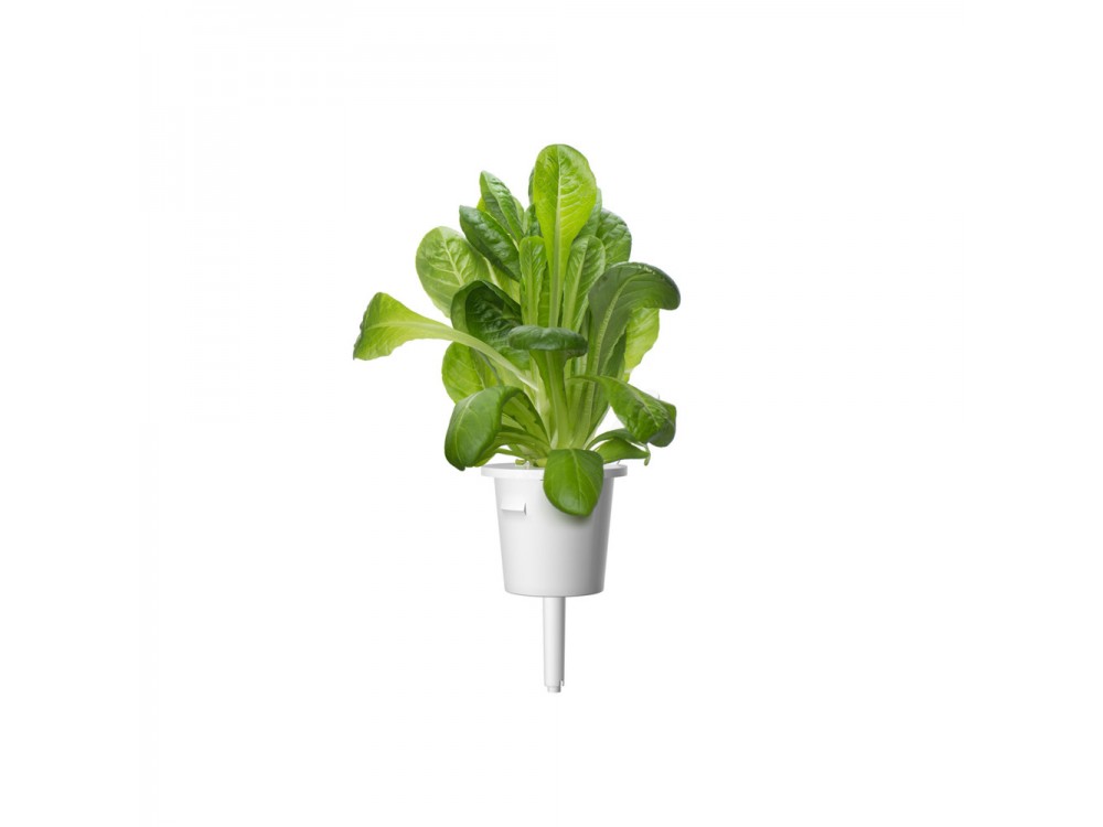 Click and Grow Συσκευασία Pods, Μείγμα Πράσινης Σαλάτας, Σετ των 9τμχ
