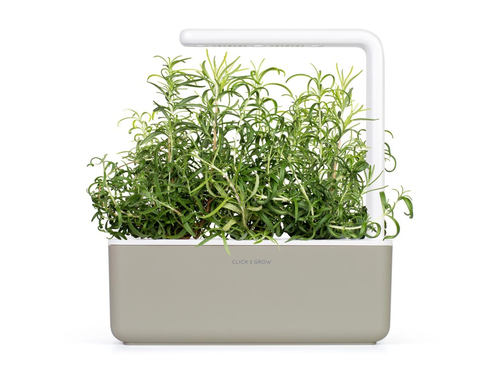 Click and Grow Pods Package, Seeds with Soil, for Rosemary, Set of 3
