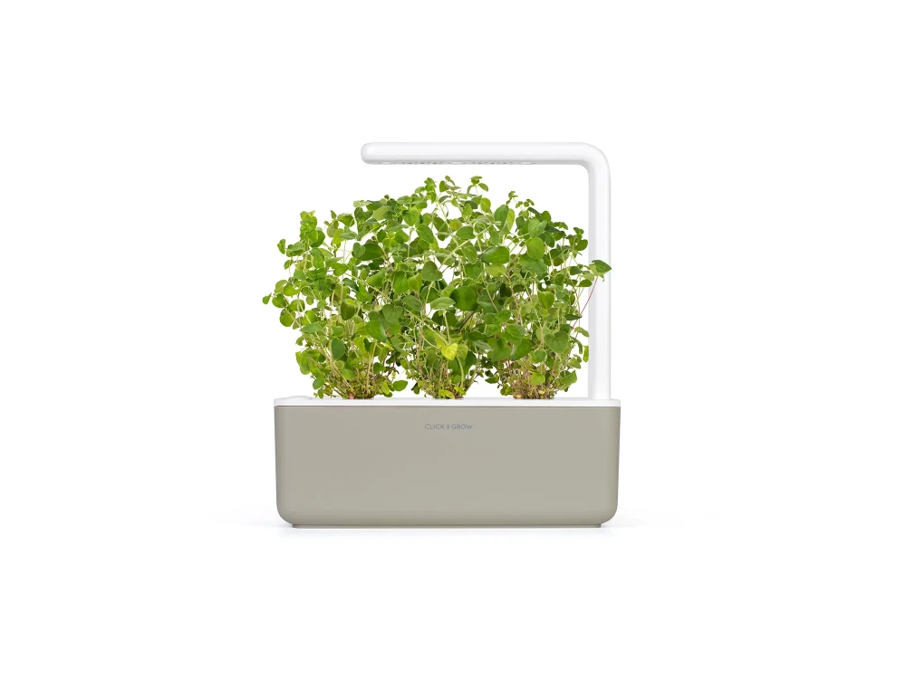 Click and Grow Pods Package, Seeds with Soil, for Oregano, Set of 3