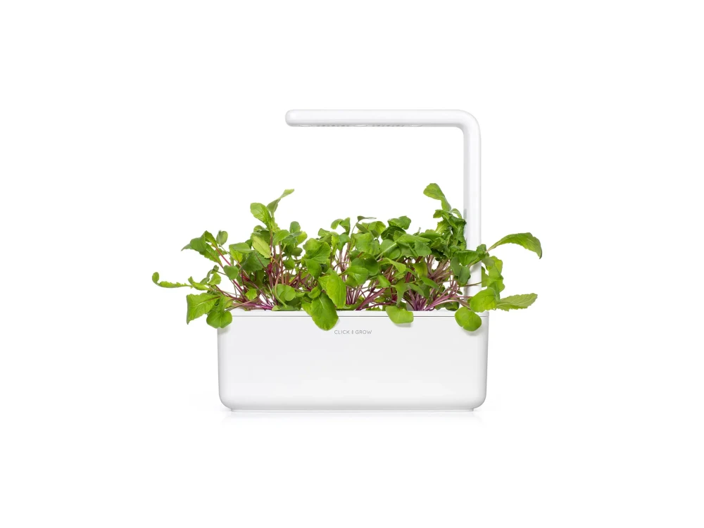 Package Click and Grow Pods, Seeds with Soil, for Radish (Leaves), Set of 3 pcs