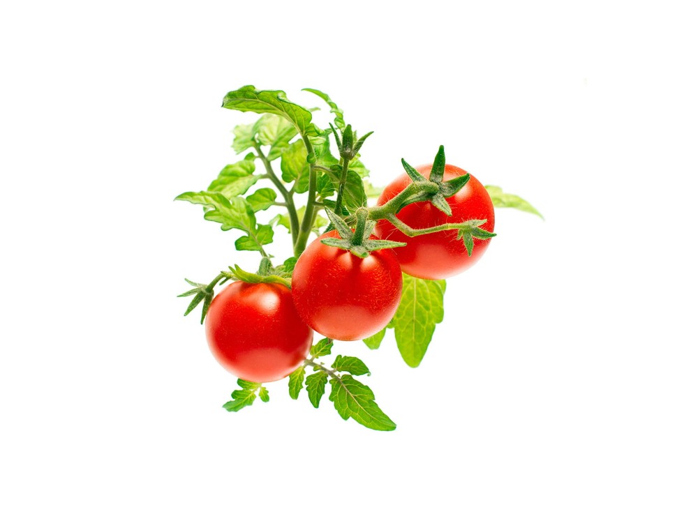 Click and Grow Συσκευασία Pods, Seeds with Soil, for Tomatoes, Set of 3 pcs