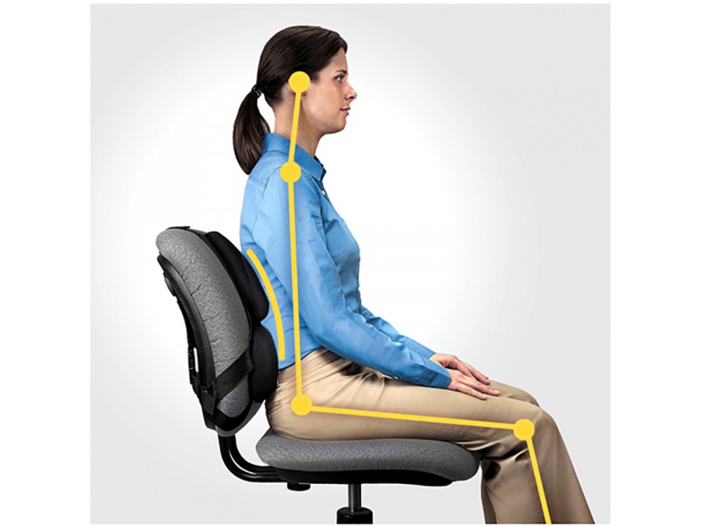 Fellowes Professional Series™ Ultimate Back Support, for office chair