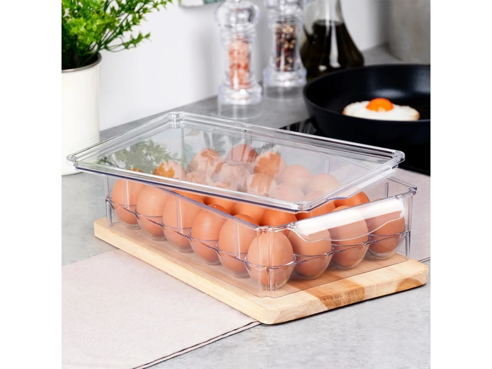 Vilde Egg Holder for 24 Eggs, Organizer Refrigerator Egg Organizer with Lid for 24 Eggs