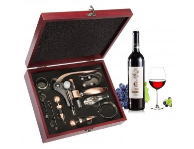 Corkscrew Wine Opener Set, Wine Accessories Set 10pcs with Suitcase, Pouch, Thermometer, Caps, Ring, Pourer & Foil Cutter