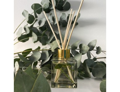 Luxury Candles Garden of Edem Diffuser, Perfumed Room Diffuser 100ml with Eucalyptus Fragrance, with Bamboo Sticks