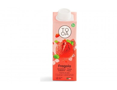 Fragola TooA Gelato Vegan με Ιταλικές Φράουλες, από 100% Φυσικά Συστατικά, Χωρίς Συντηρητικά Γλουτένη & Λακτόζη (Συσκευασία 250m
