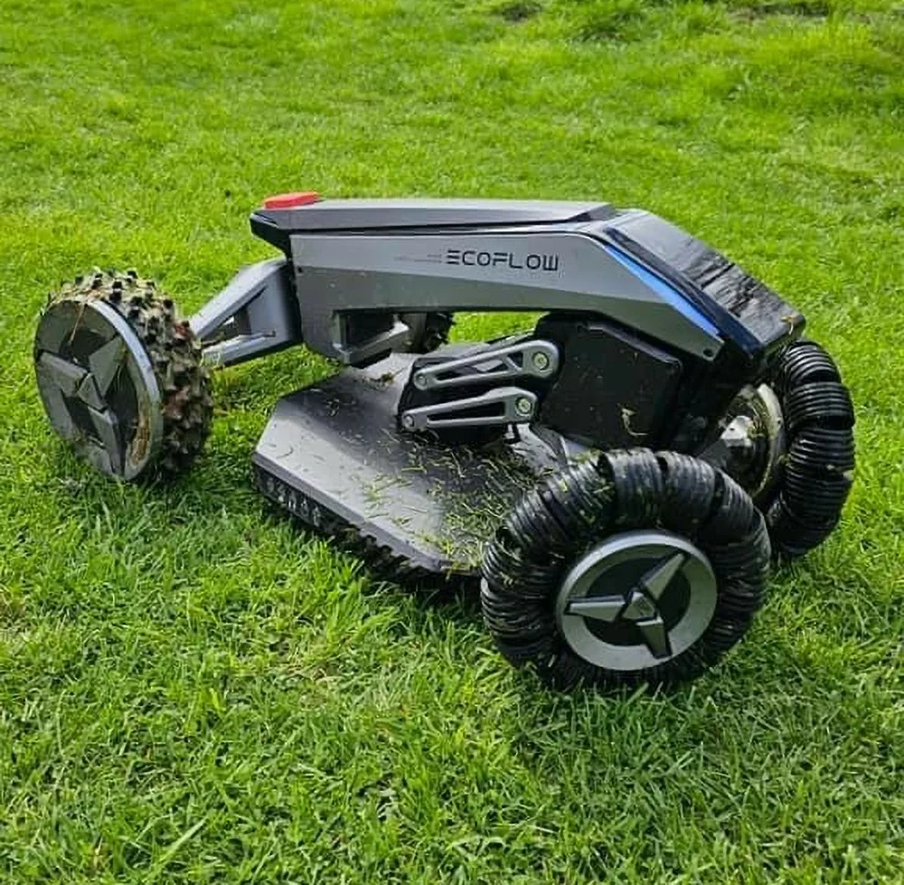 ecoflow blade 1